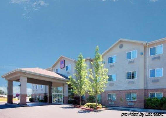 Comfort Hotel